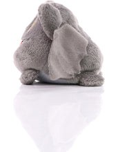 Lade das Bild in den Galerie-Viewer, Schmoozies® Displayreiniger Fledermaus