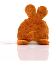 Lade das Bild in den Galerie-Viewer, Schmoozies® Displayreiniger Hase