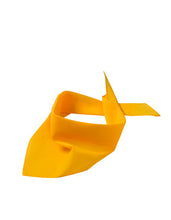 Lade das Bild in den Galerie-Viewer, Dreiecksschal inkl. Druck nach Kundenwunsch