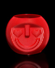 Lade das Bild in den Galerie-Viewer, 3D Trockenblumenvase "Dude-Reihe" von Kowafatcompany