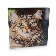 Lade das Bild in den Galerie-Viewer, Fotoaufsteller Acryl inkl. Druck nach Kundenwunsch