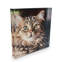 Lade das Bild in den Galerie-Viewer, Fotoaufsteller Acryl inkl. Druck nach Kundenwunsch