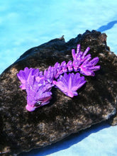 Lade das Bild in den Galerie-Viewer, 3D Baby Feder-Drache
