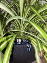 Lade das Bild in den Galerie-Viewer, 3D Blob Spider
