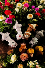 Lade das Bild in den Galerie-Viewer, 3D Flexi-Frettchen
