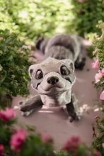 Lade das Bild in den Galerie-Viewer, 3D Flexi-Frettchen
