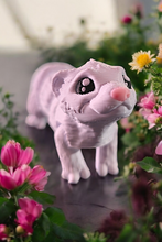 Lade das Bild in den Galerie-Viewer, 3D Flexi-Frettchen
