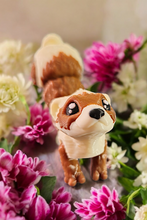 Lade das Bild in den Galerie-Viewer, 3D Flexi-Frettchen
