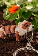 Lade das Bild in den Galerie-Viewer, 3D Flexi-Frettchen
